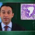 Botulinum toxin A effective for persistent cystitis following cancer treatment