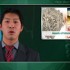 Immunochemical fecal blood tests differ widely in performance