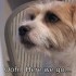 Elvis with a new Valentine’s Day message for 2009