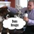 Presley: Greatest American Dog – Hollywood, CA