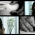 154-full