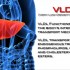 Why is low HDL associated with high triglycerides and increased cardiovascular risk?