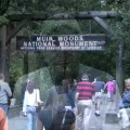 Muir Woods – San Francisco, CA