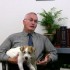 Inherited conditions in dogs
