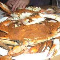Mike’s Bar & Crab House – Annapolis, MD