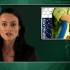 Phthalate exposure linked to low birth weight