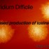 Clostridium Difficile – a new  hypervirulent strain