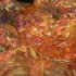 Sokolowski’s University Inn – Cleveland, OH