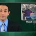Advantages seen with robot-assisted nephrectomy for renal tumors