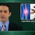 For knee osteoarthritis pain: injected steroids effective early, hyaluronic acid better later