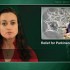 Pramipexole reduces depressive symptoms in Parkinson’s patients