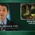 Tree pollen allergoid eases allergy symptoms