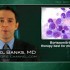 Bortezomib regimen seen best as induction therapy for multiple myeloma