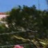 La Valencia Hotel – La Jolla, CA