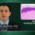 Quick tissue testing aids cholangiopancreatography yield