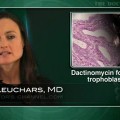 Dactinomycin tops methotrexate for gestational trophoblastic neoplasia