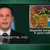 Sequential therapy effective for H. pylori eradication in children