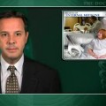 Procalcitonin algorithms safely reduce antibiotic use