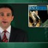 Increasing complication rates for pacemakers and implantable cardioverter-defibrillators
