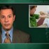 Some young children may need only one flu shot this year