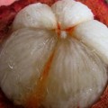 The Mangosteen