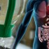 Thumbnail_20120221drgd004