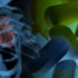 Thumbnail_20120301drgd006