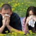Thumbnail_20120402drgd001