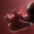 Sotalol effective first-line therapy for fetal supraventricular tachyarrhythmia