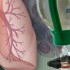 Single-agent maintenance improves survival in NSCLC