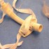 Early tracheostomy when needed after cardiac surgery has benefits