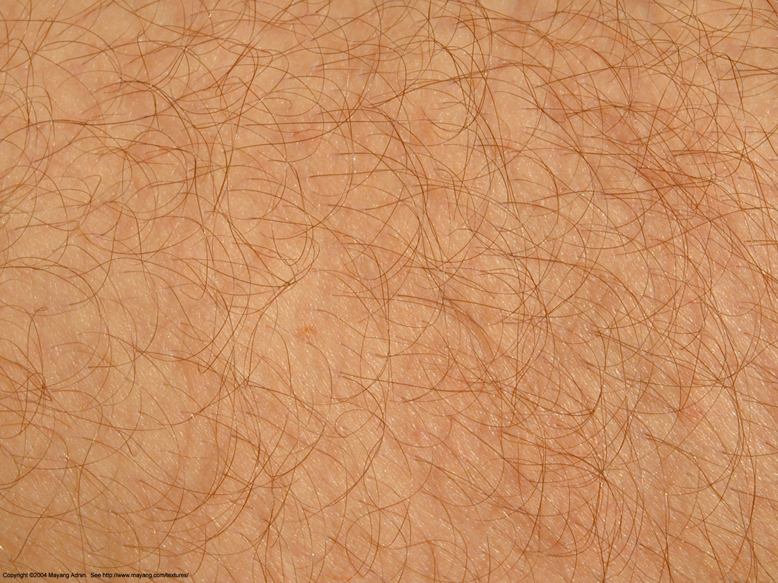 Scientists Identify New Method for Hair Growth The Doctor's Channel