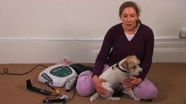 Animal Prolotherapy Thumbnail
