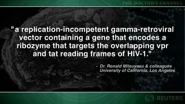 Gene therapy shows modest efficacy for HIV infection Thumbnail