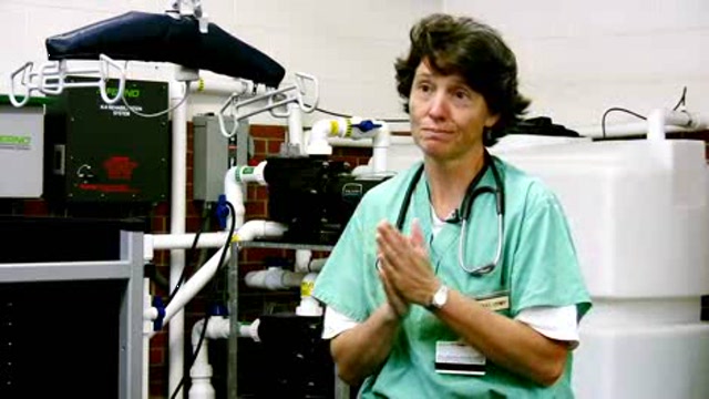 Veterinary Services at Cornell University Hospital for Animals Thumbnail