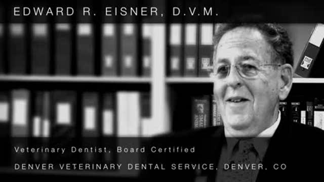 Do dogs tolerate dental braces? Thumbnail