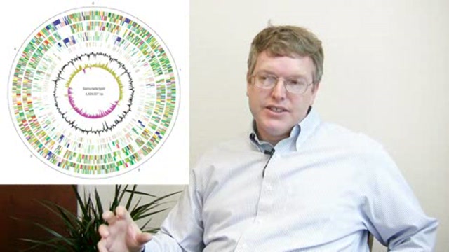 Salmonella and antimicrobial resistance in animals Thumbnail