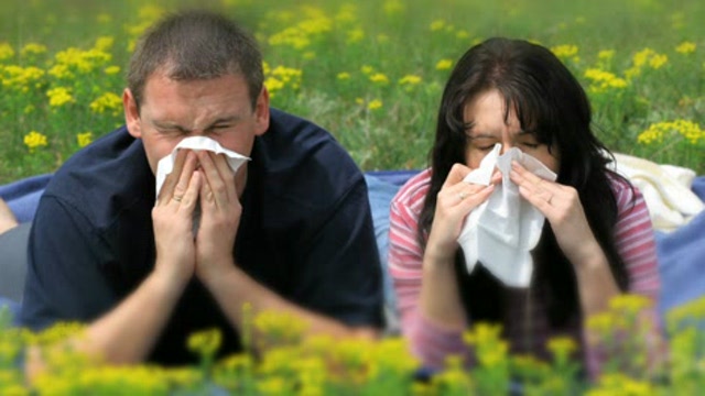 New electrostatically-charged nasal gel blocks allergens Thumbnail