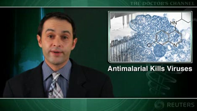 Chloroquine inhibits deadly emerging paramyxoviruses Thumbnail