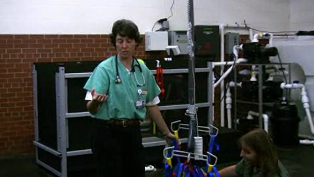 Canine Stroke Rehabilitation: Part 2 Thumbnail