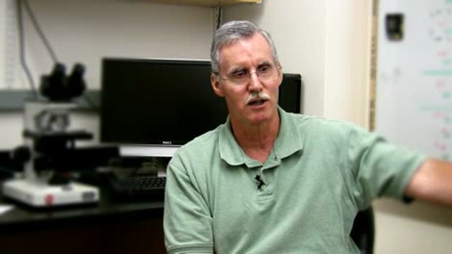 Fish hemorrhagic septicemic virus affecting recreational fishing Thumbnail