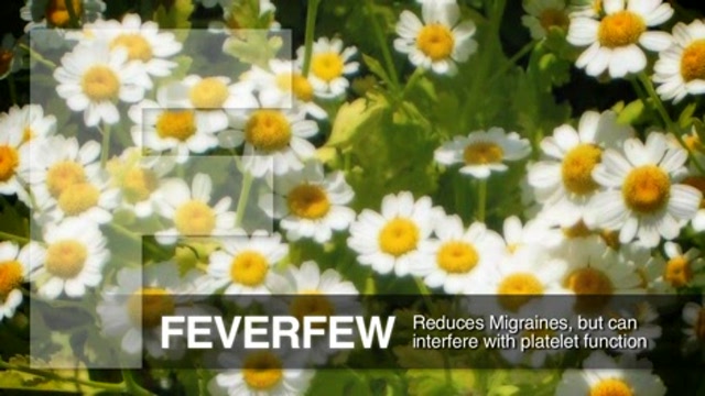 Commonly Used Herbal Medicines Thumbnail