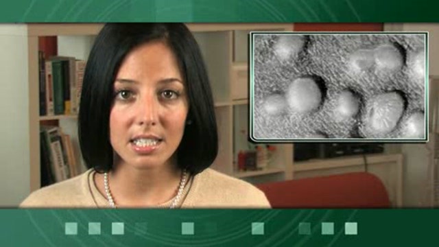 FDA Announces Licensing of New Smallpox Vaccine Thumbnail