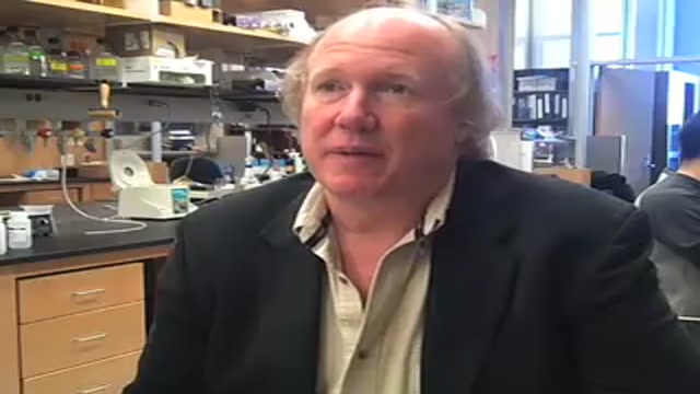 UNC study: new approach promises greater success for predicting drug safety Thumbnail