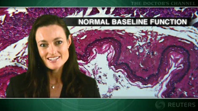 Baseline function predicts long-term QOL after prostate cancer therapy Thumbnail