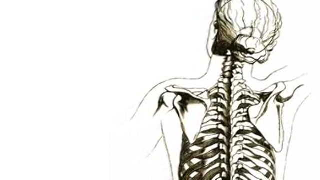 Acupuncture’s role in western medicine Thumbnail