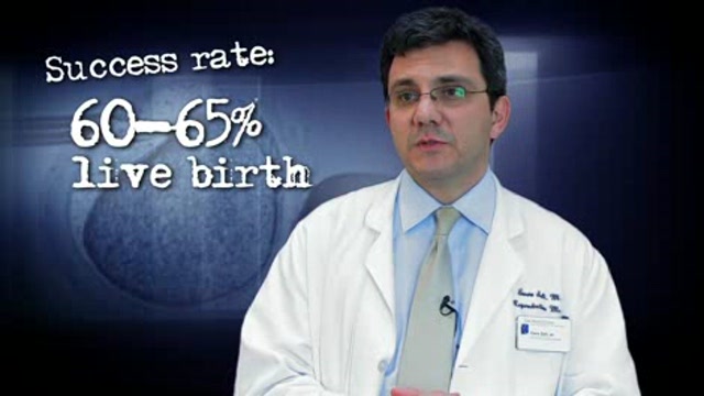 Egg donors and gestational carriers Thumbnail