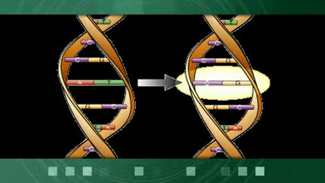 Rheumatoid Arthritis and the Missing Genomic Link Thumbnail