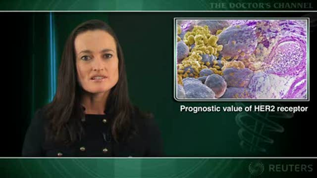 HER2 status predicts recurrence of small breast cancers Thumbnail