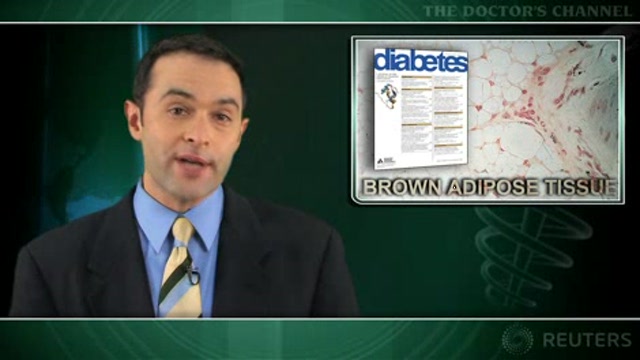 Seasonal variation seen in brown adipose tissue Thumbnail